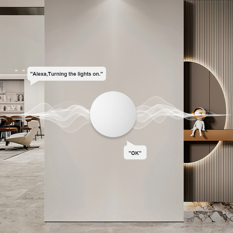 Tuya Smart Life용 ZigBee 스마트 무선 - Smart Home Setup 리뷰 및 가격