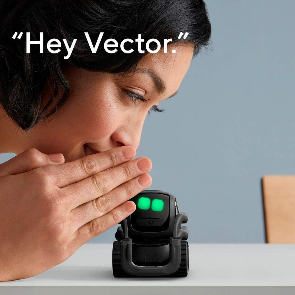 AI ChatGPT 2.0 연결형 로봇 동반자, 얼굴  - Smart Home Robot 리뷰 및 가격