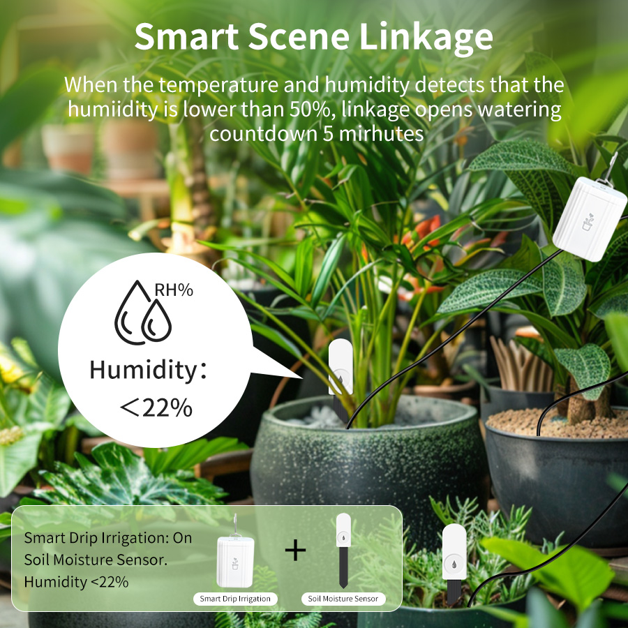 스마트 지그비 3.0 토양 테스터 식물 정원용 습도 온 - Smart Home Setup 리뷰 및 가격